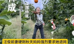 秋天妈最新爆料,明星家庭温馨幕后故事